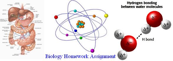 biology homework assignment help