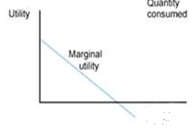 Marginal Utility Assignment Help