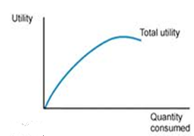 Total Utility Assignment Help