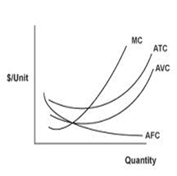 Unit Cost Curve